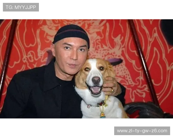 尊龙时凯人生就是赢下载，让你的每一天都充满无限可能