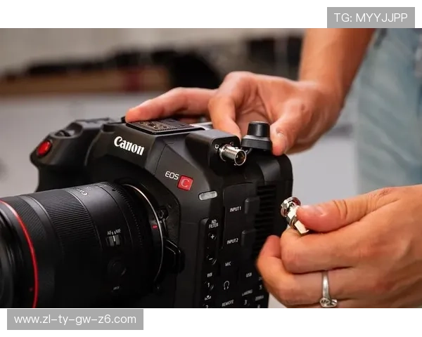 尊龙z6中国官网用户反馈与使用体验分享帮助你做出明智选择