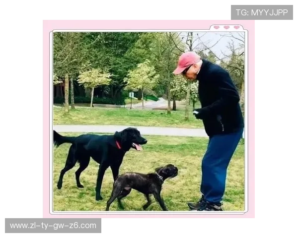 尊龙人生就是博首页：探索人生博弈中的智慧与乐趣