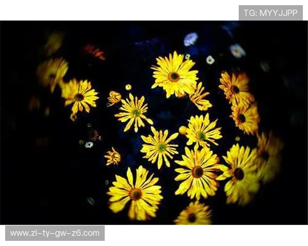 尊龙凯时人生就是博：游戏中的人生智慧与现实生活的完美融合