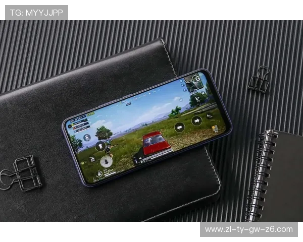 Z6尊龙真人国际全面解析：最新游戏玩法与安全保障指南